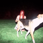 ODD MAMI lanza su segundo disco: «donde van los perros»